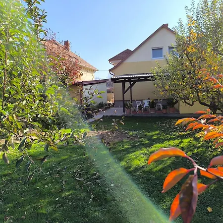 公寓 Nemeth Nyaralo 2