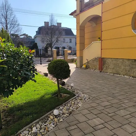 Németh 2 *